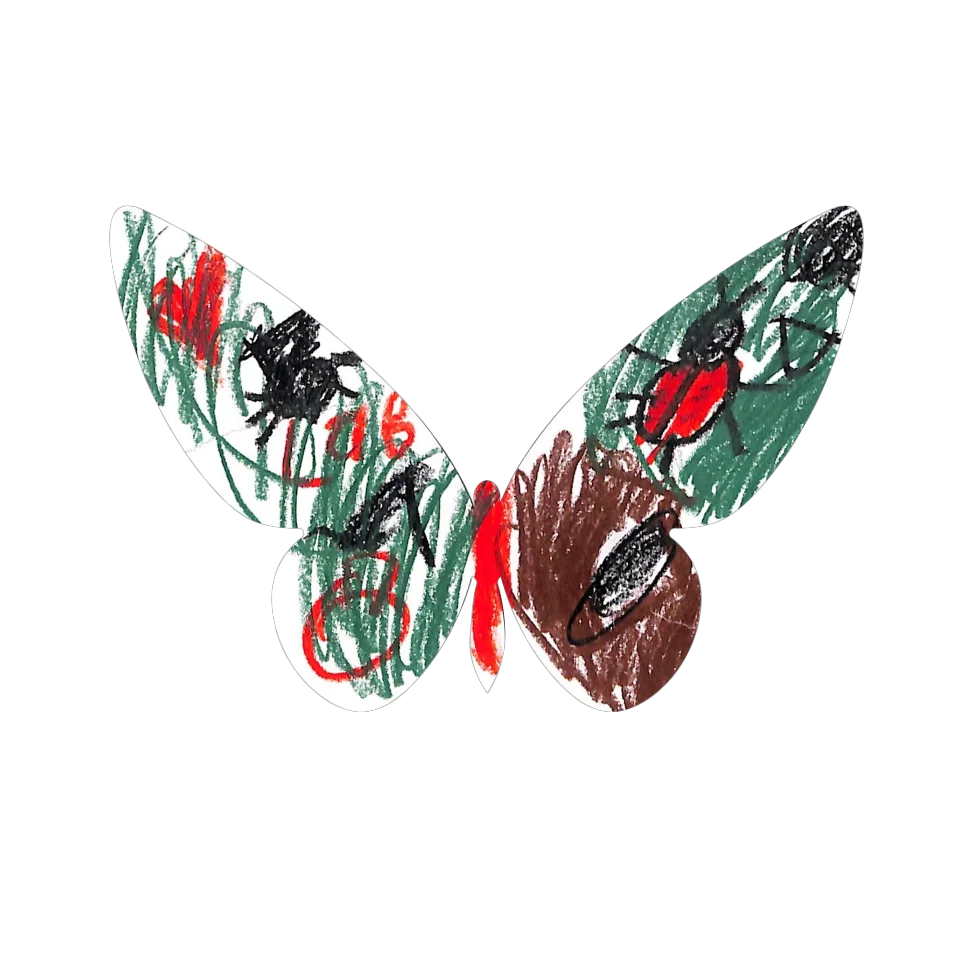 Original Butterfly Image