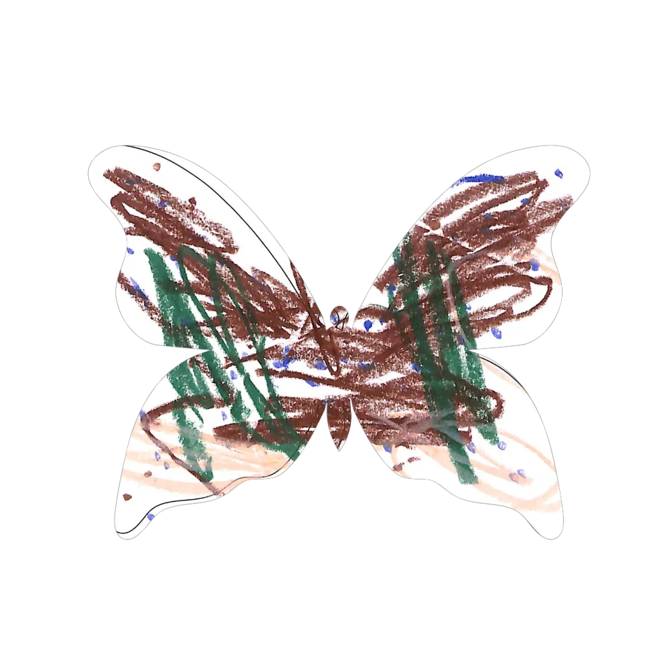 Original Butterfly Image