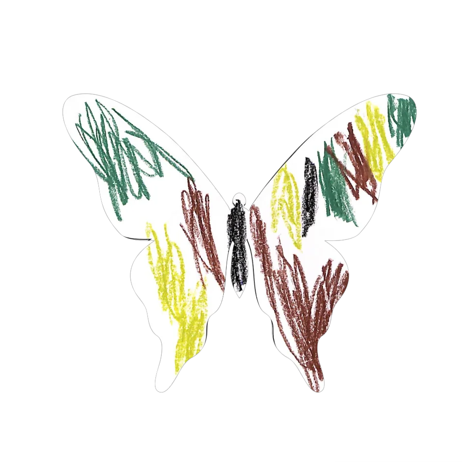 Original Butterfly Image