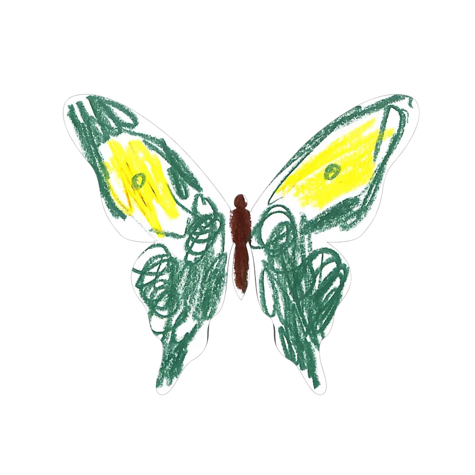 Original Butterfly Image