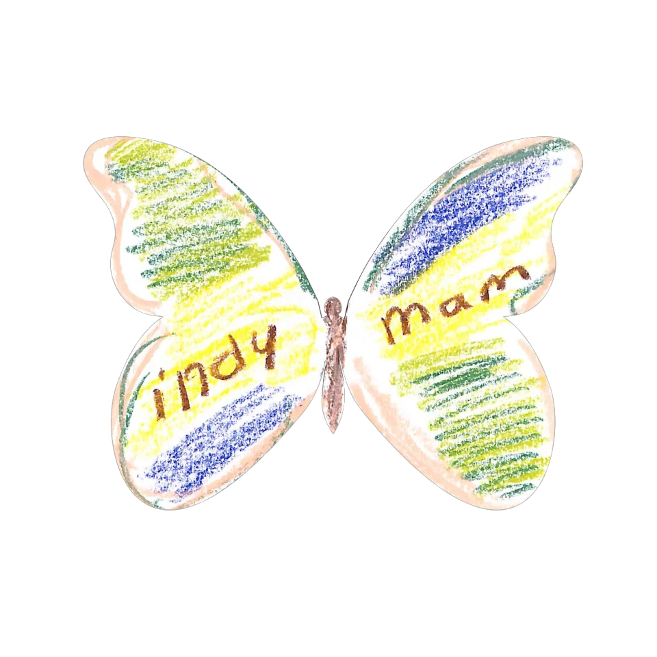 Original Butterfly Image