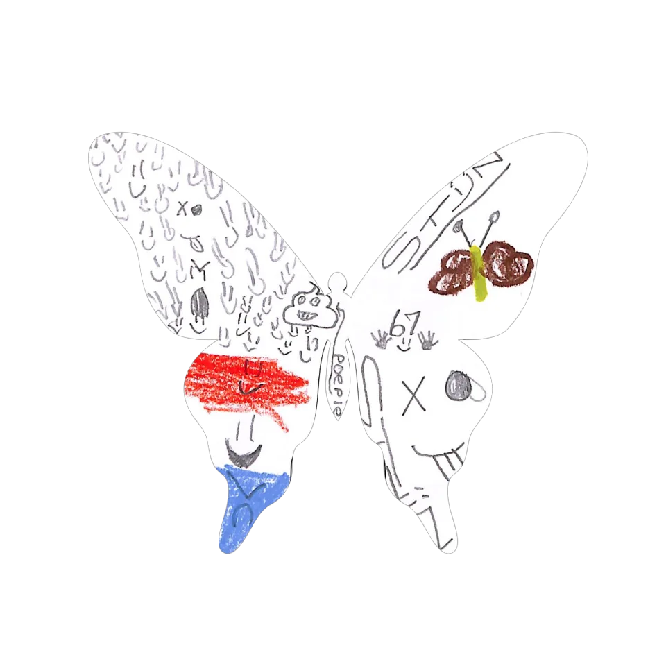 Original Butterfly Image