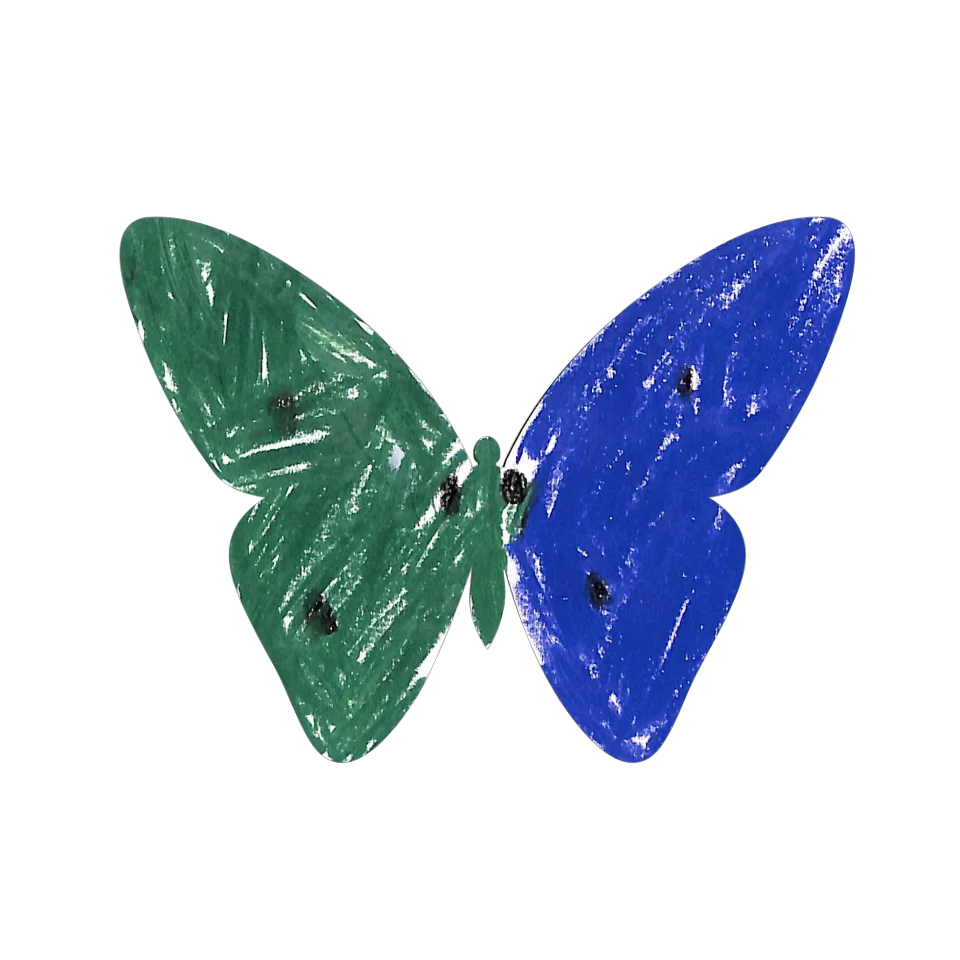 Original Butterfly Image