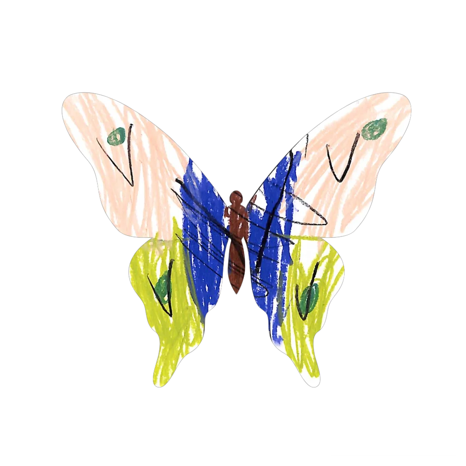 Original Butterfly Image