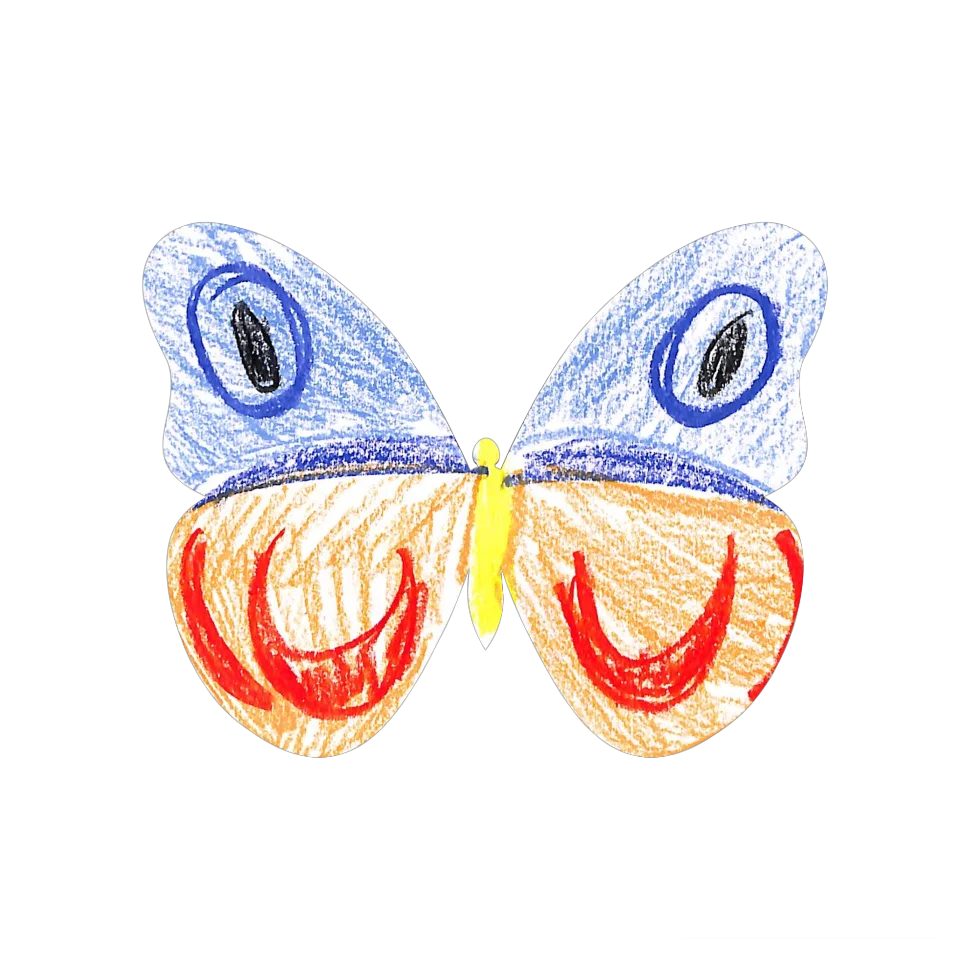 Original Butterfly Image