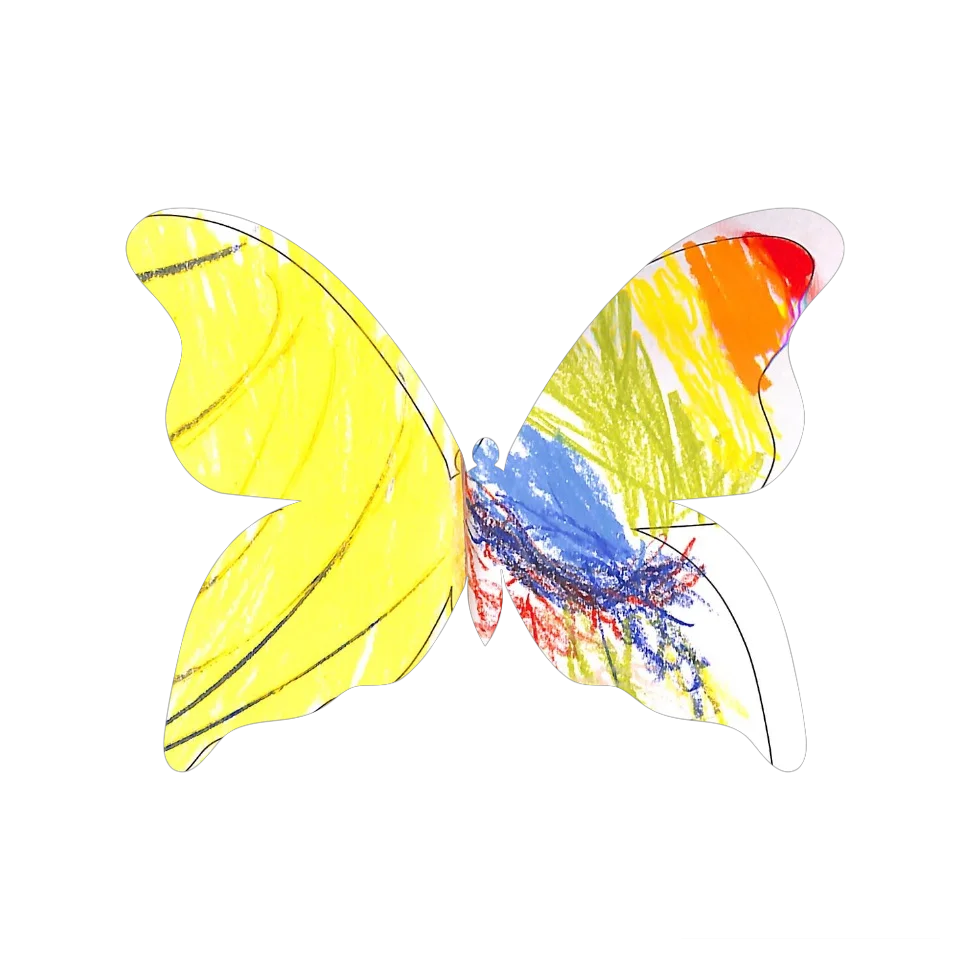 Original Butterfly Image