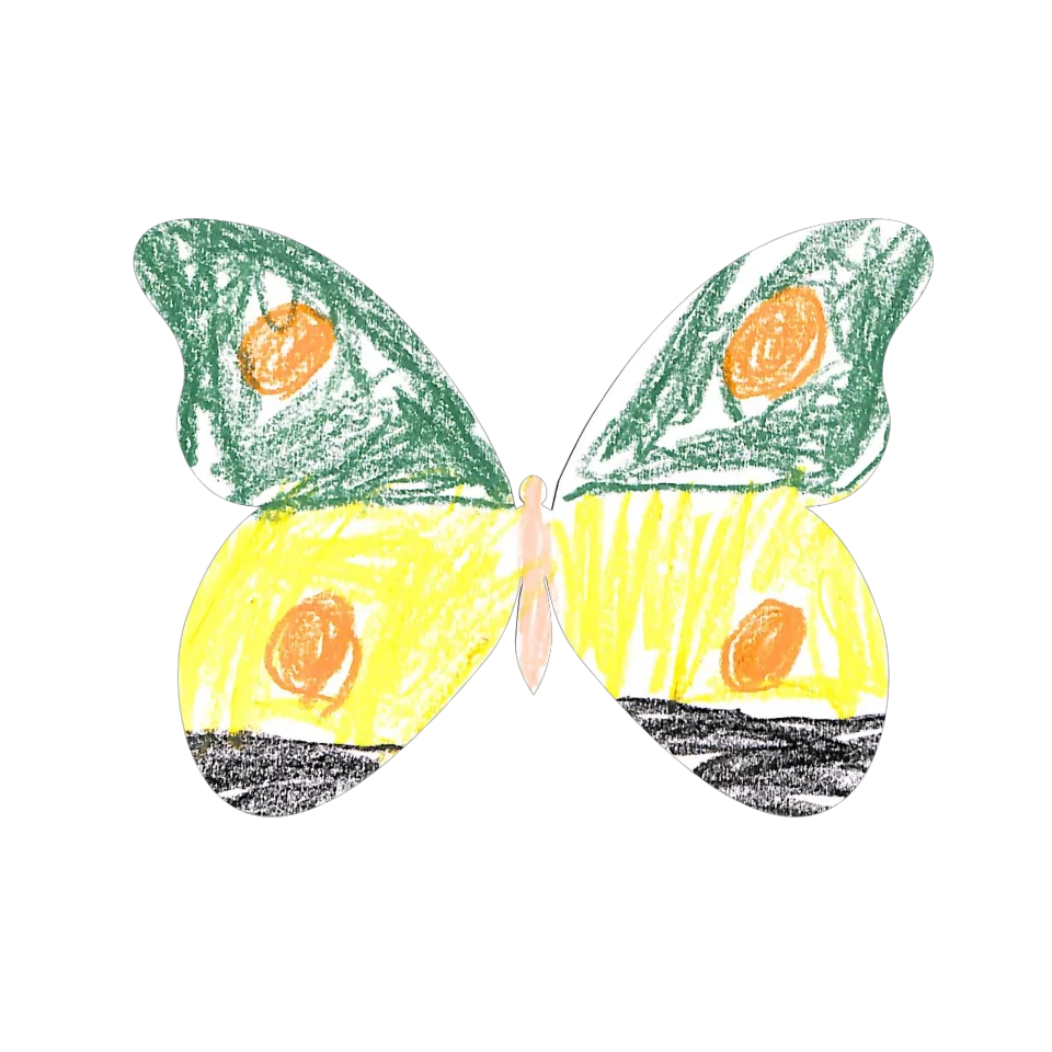Original Butterfly Image
