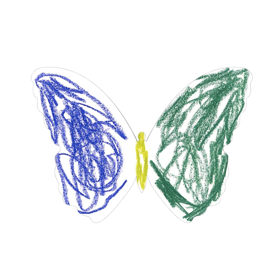 Original Butterfly Image