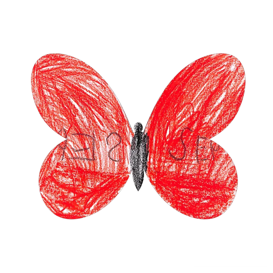 Original Butterfly Image