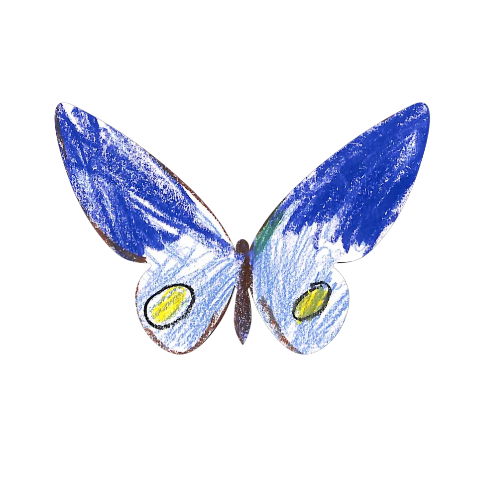 Original Butterfly Image