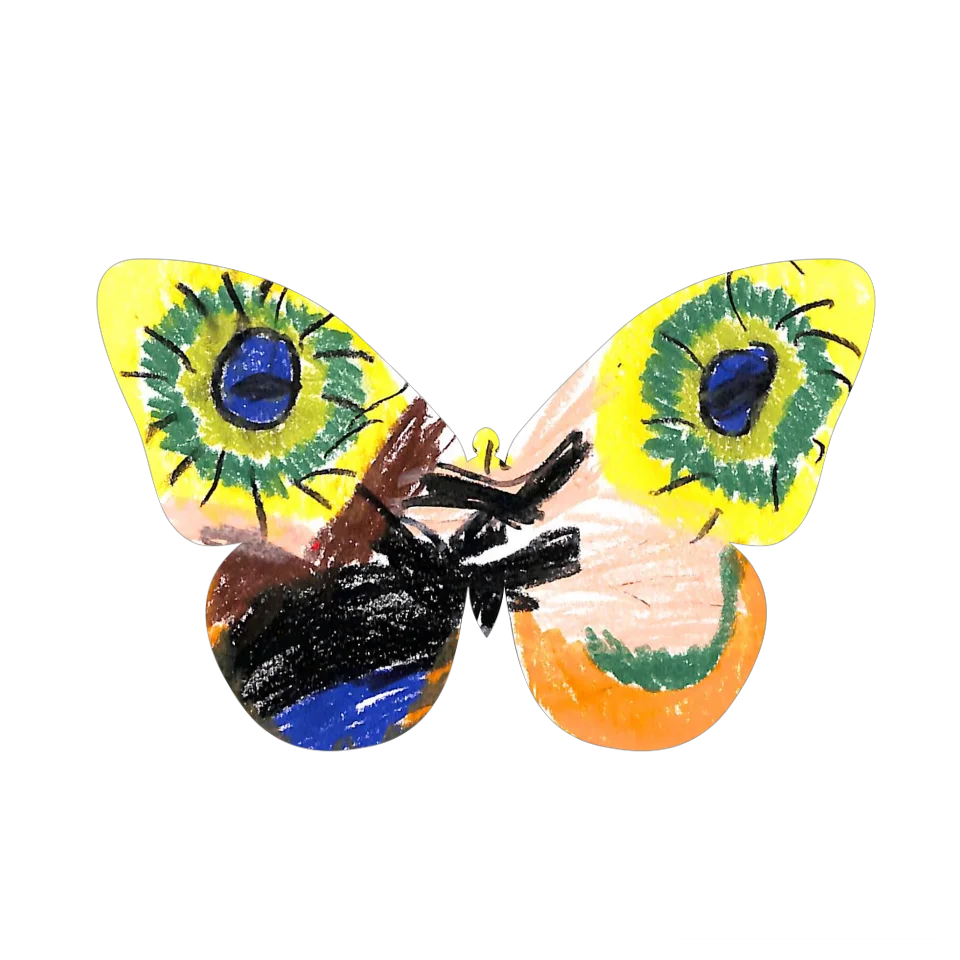 Original Butterfly Image