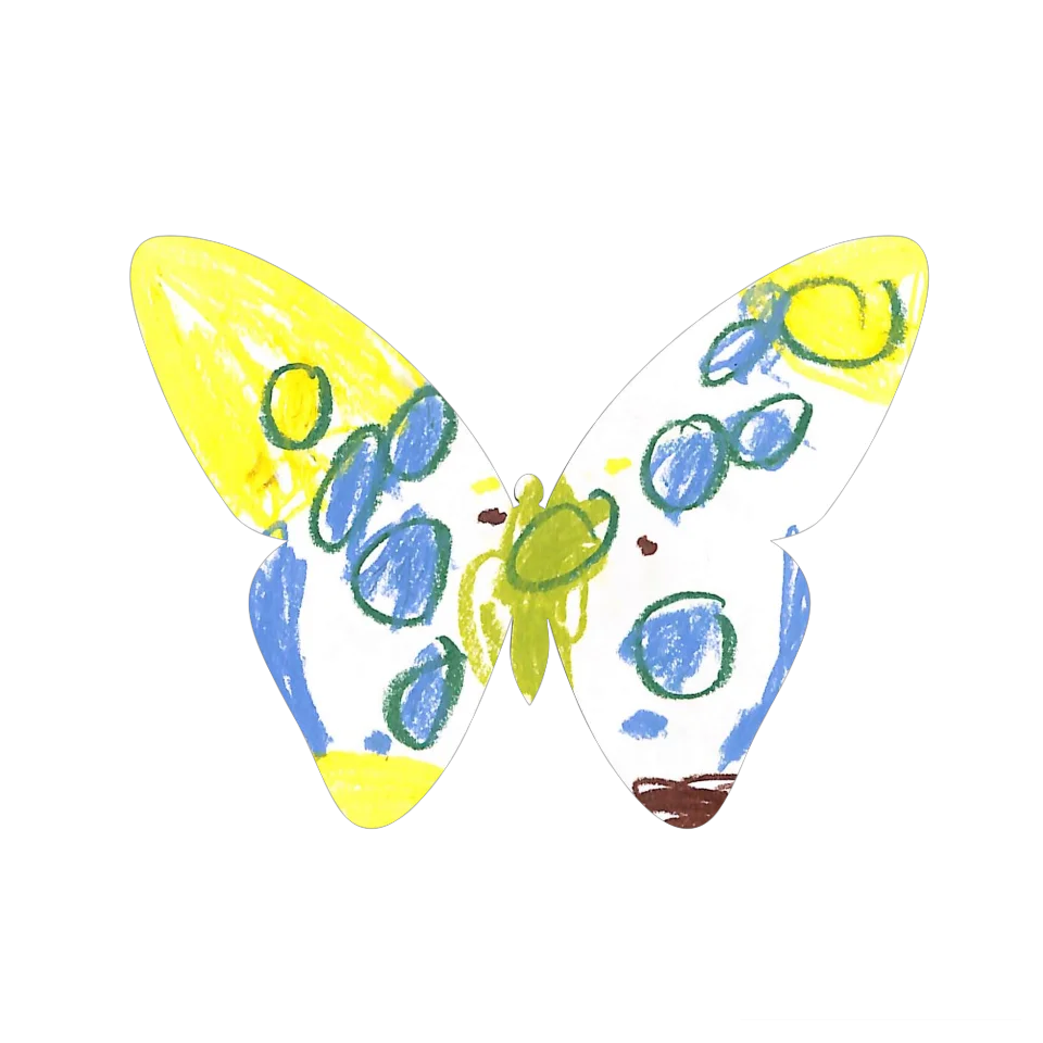 Original Butterfly Image