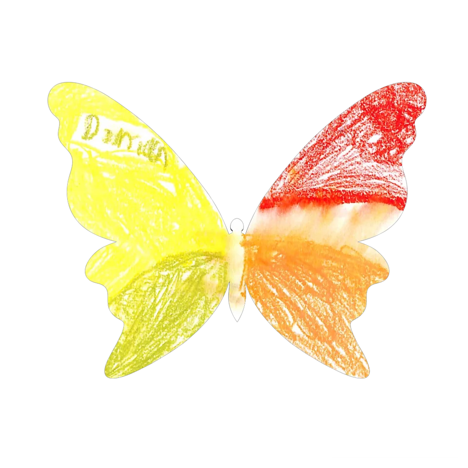 Original Butterfly Image