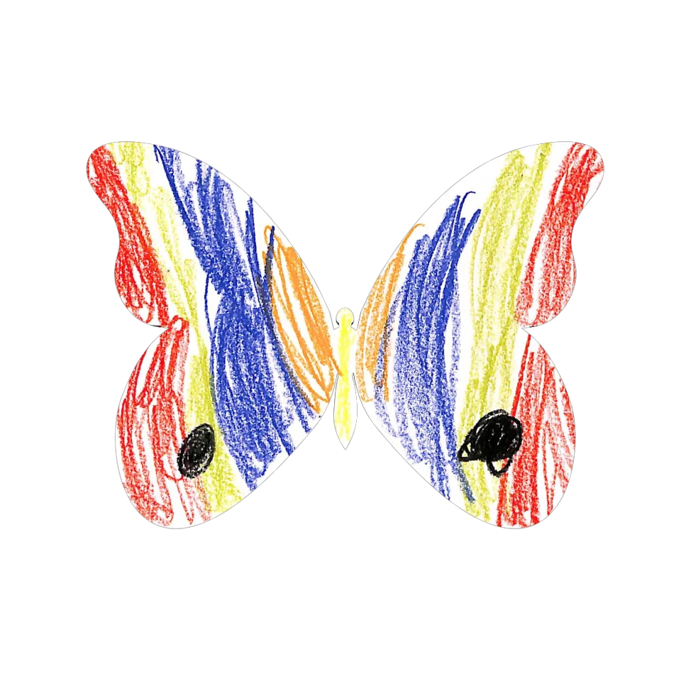 Original Butterfly Image
