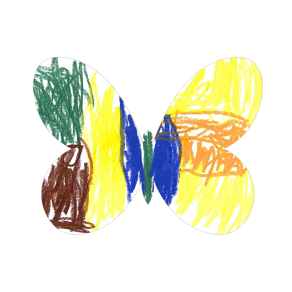 Original Butterfly Image