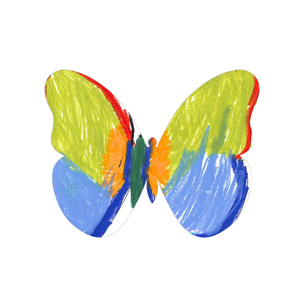 Original Butterfly Image