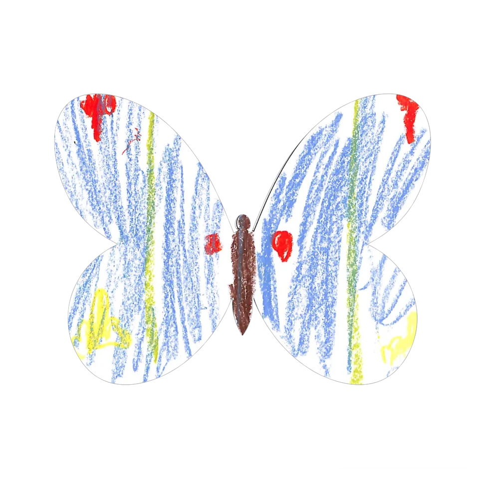 Original Butterfly Image