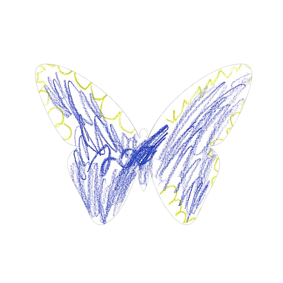 Original Butterfly Image