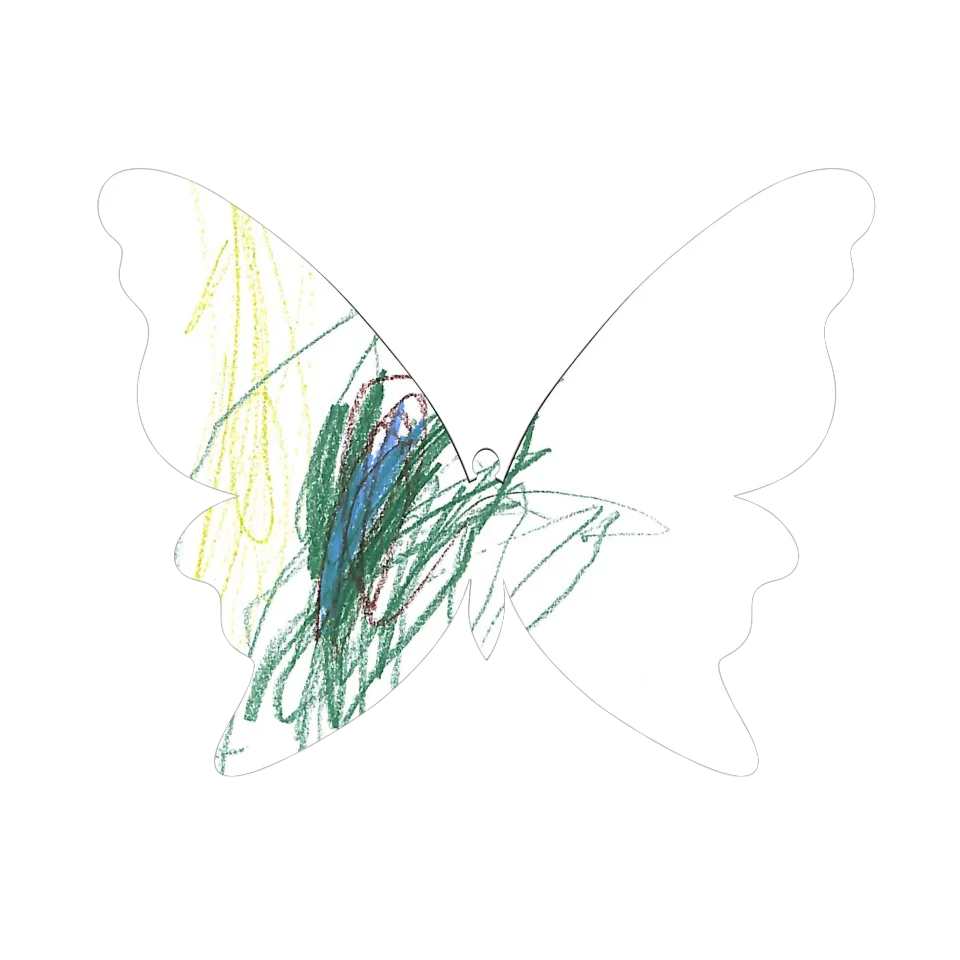 Original Butterfly Image