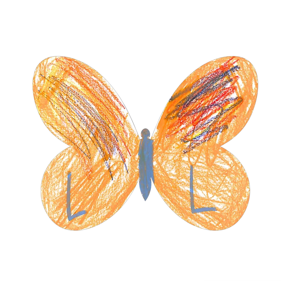 Original Butterfly Image
