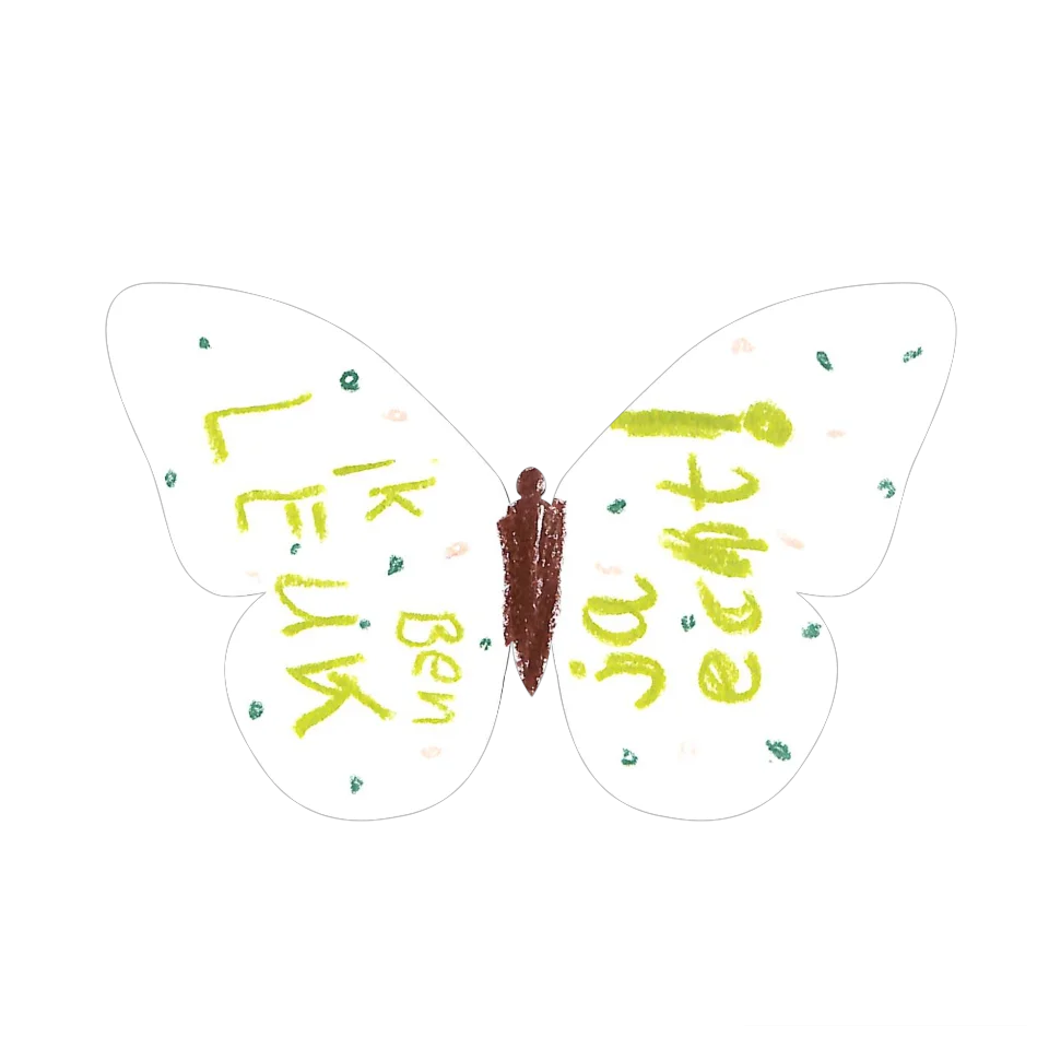 Original Butterfly Image