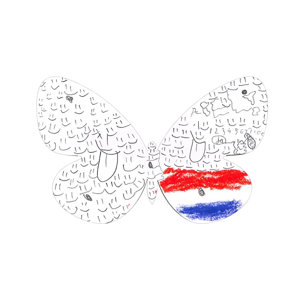 Original Butterfly Image