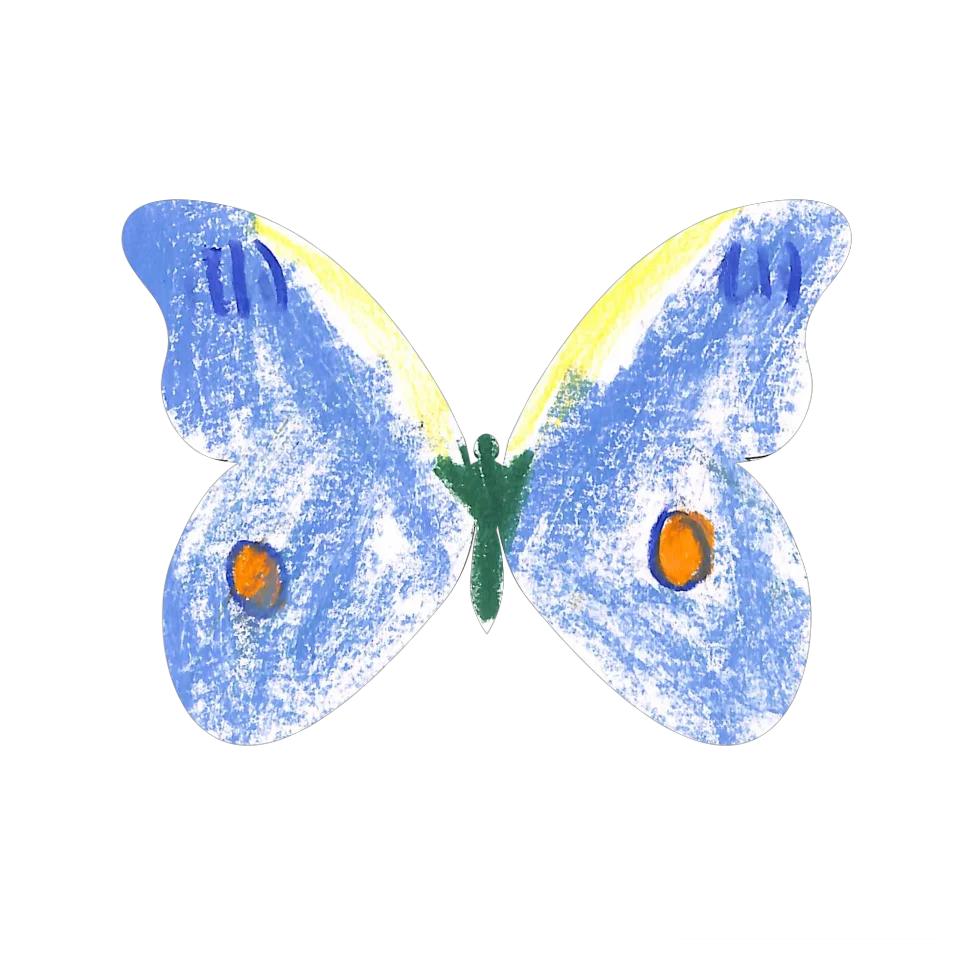 Original Butterfly Image