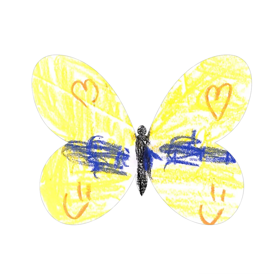 Original Butterfly Image