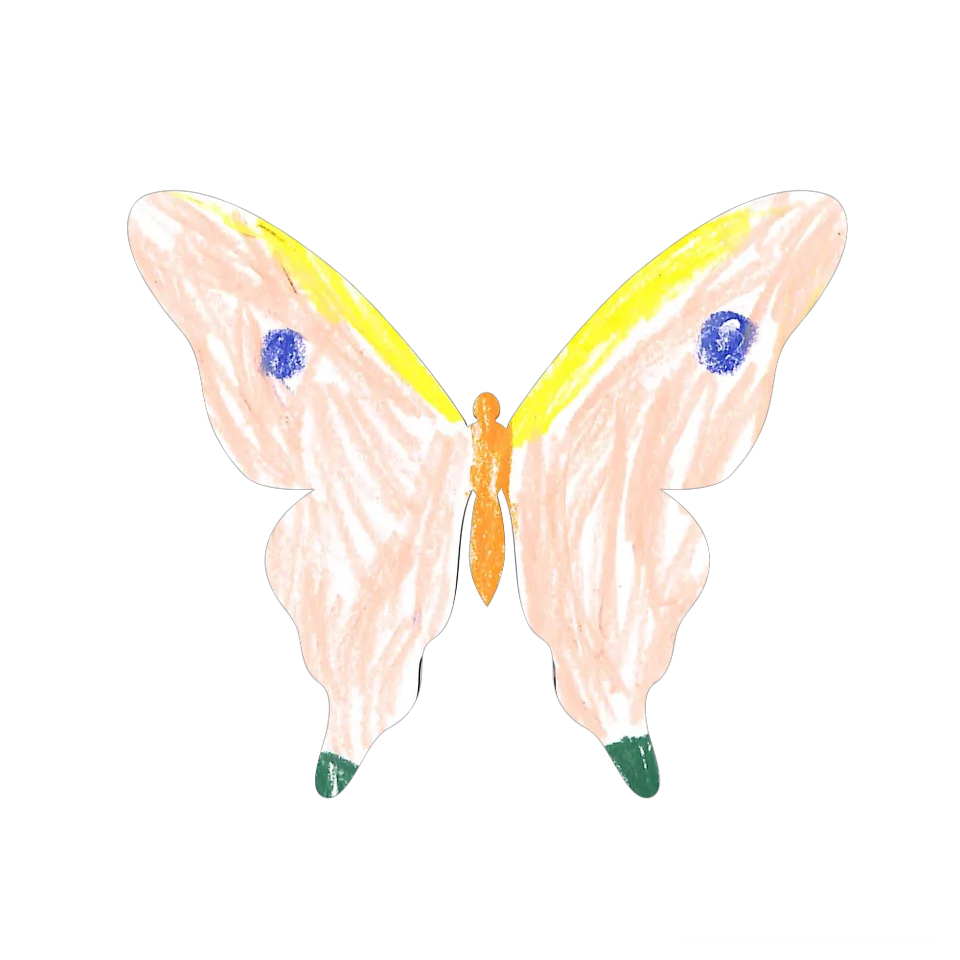 Original Butterfly Image