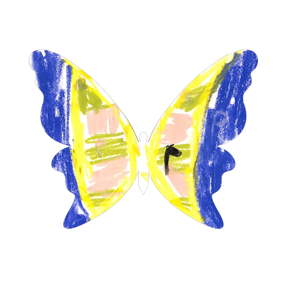 Original Butterfly Image