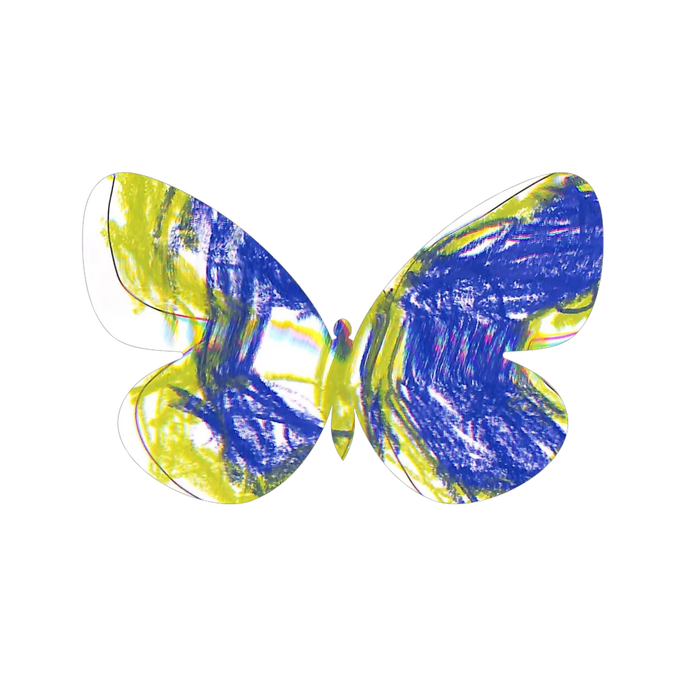 Original Butterfly Image