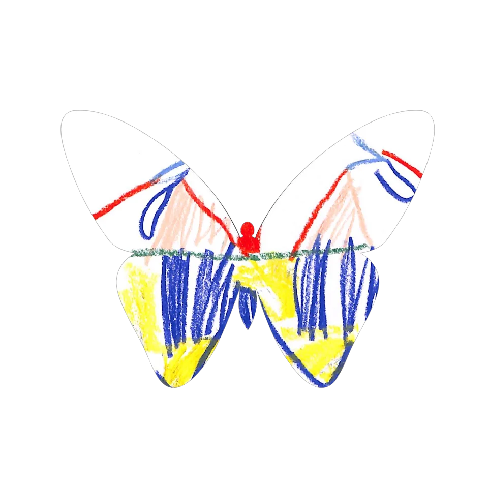 Original Butterfly Image