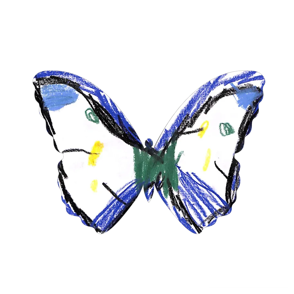 Original Butterfly Image