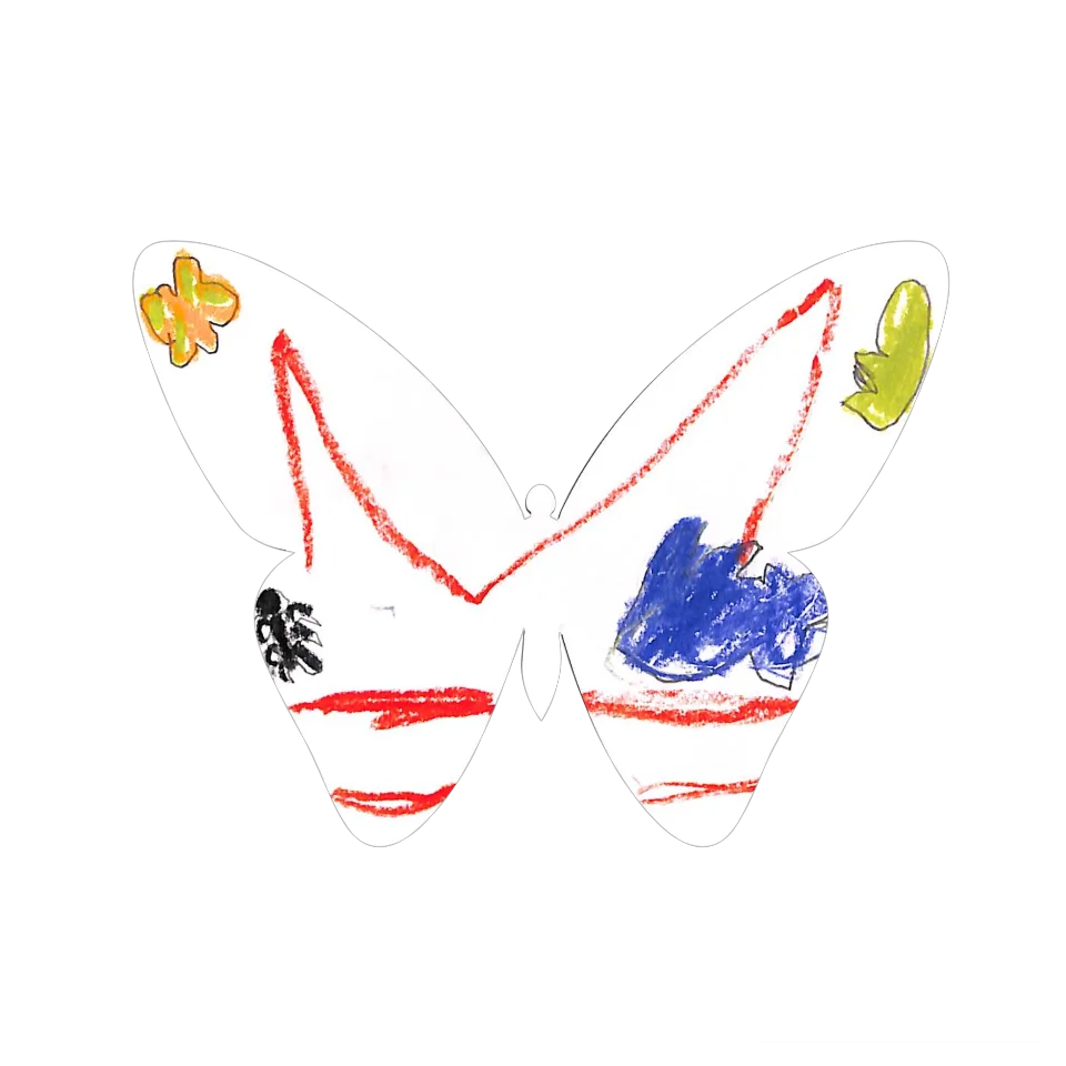 Original Butterfly Image
