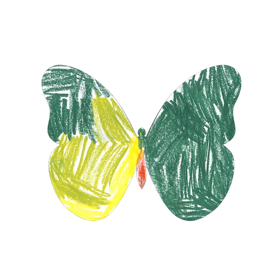 Original Butterfly Image