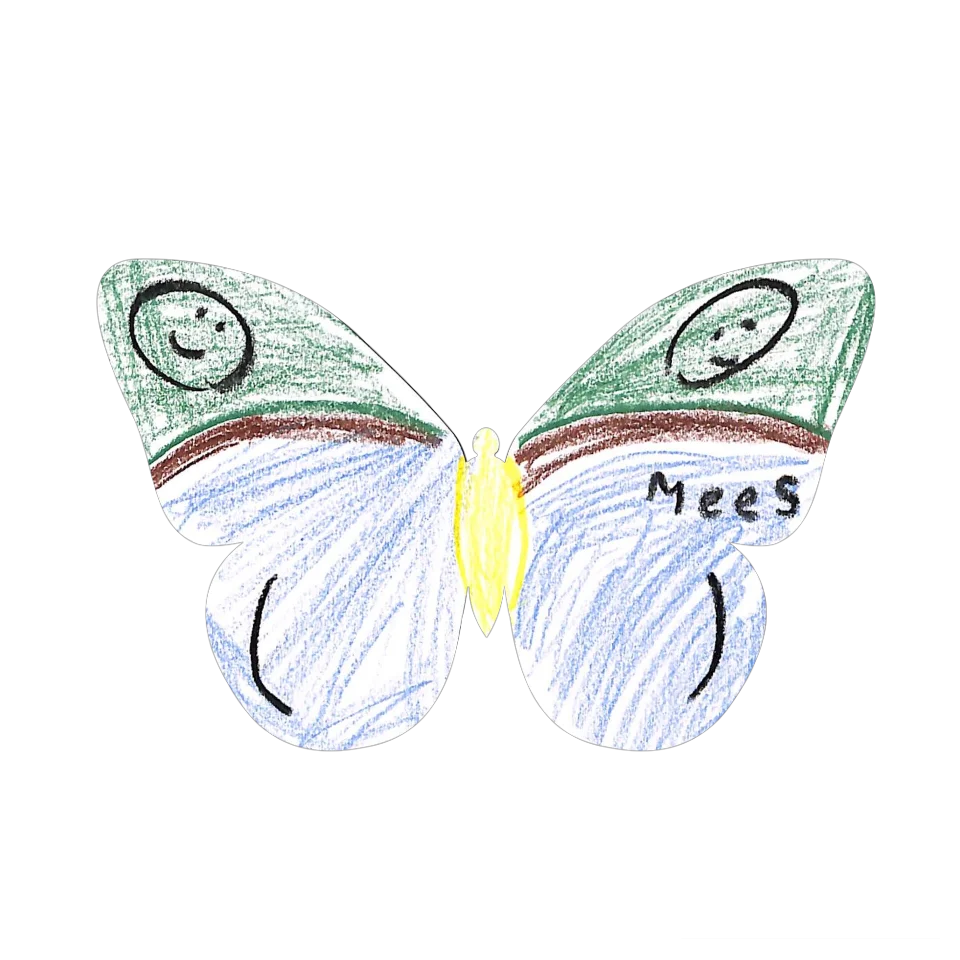 Original Butterfly Image