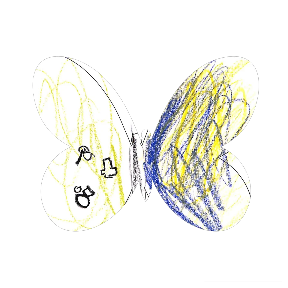 Original Butterfly Image