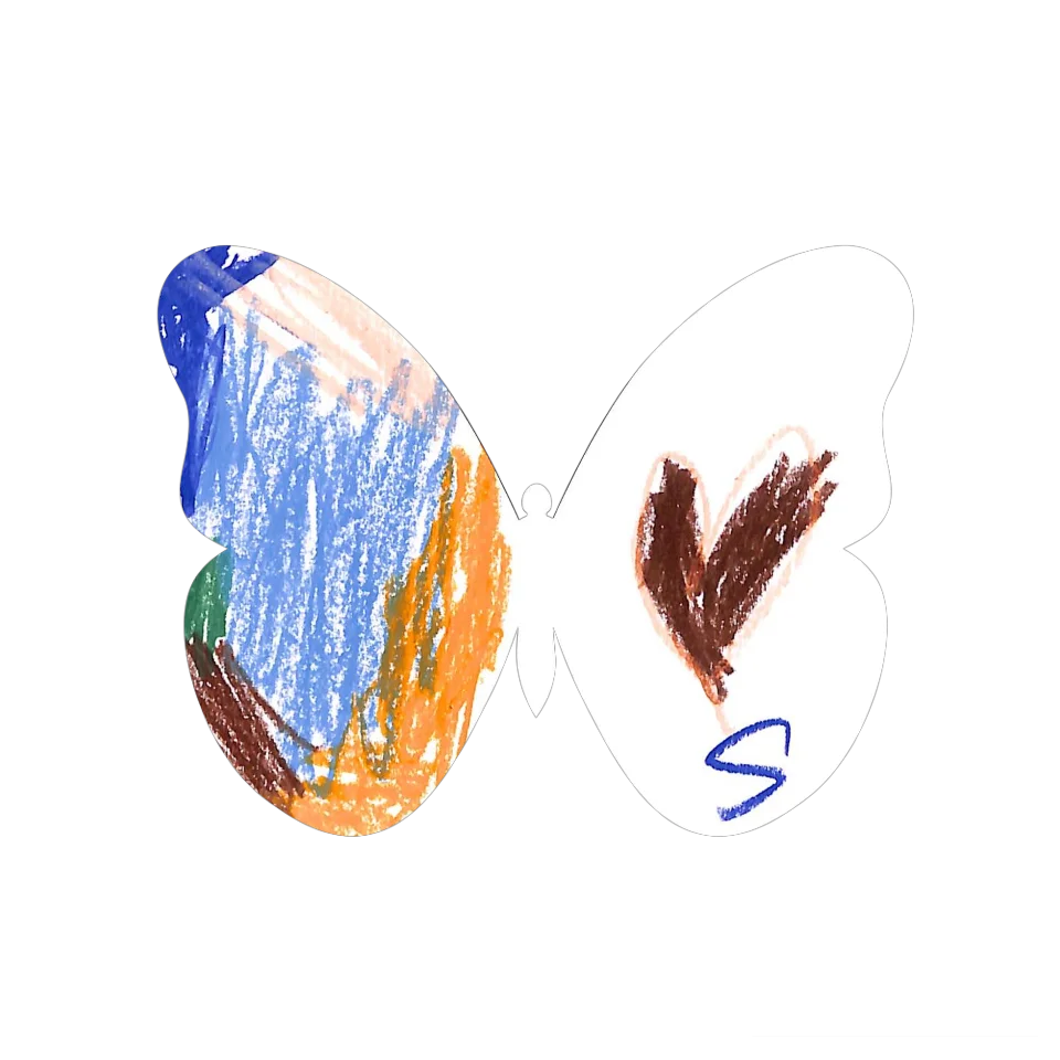 Original Butterfly Image