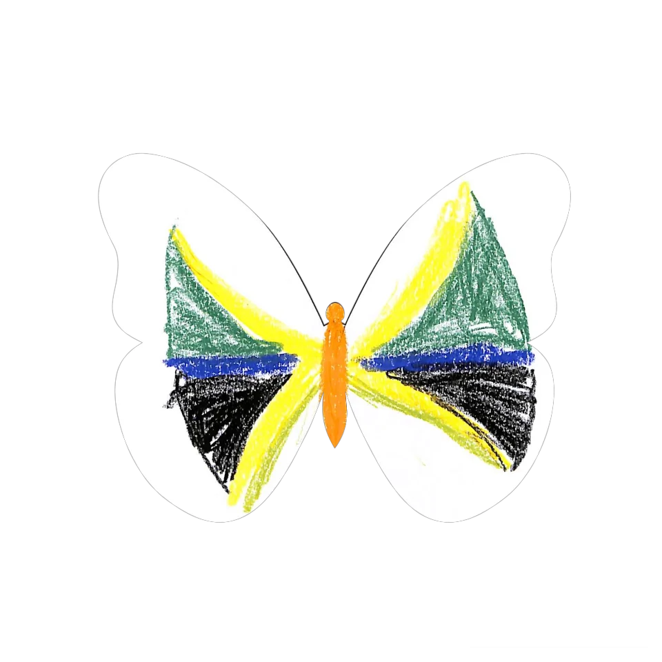 Original Butterfly Image