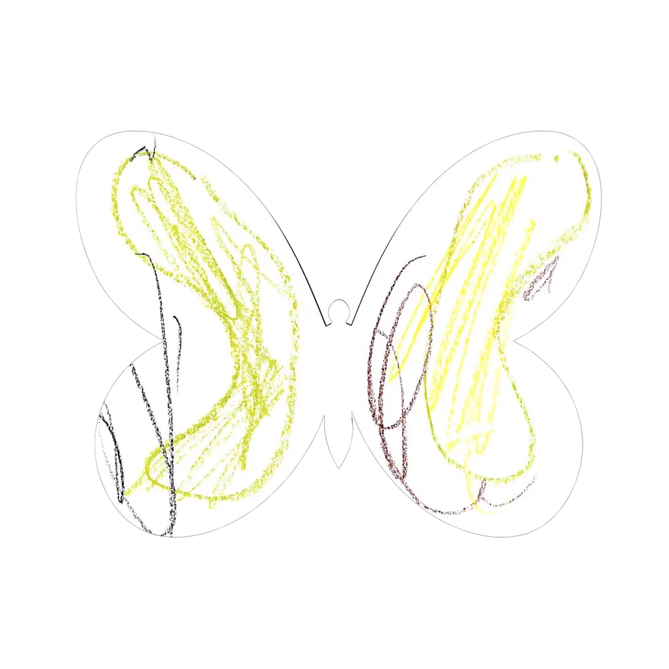 Original Butterfly Image