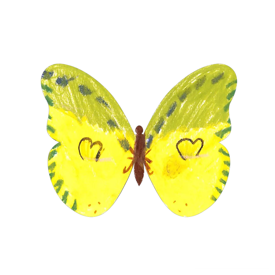 Original Butterfly Image