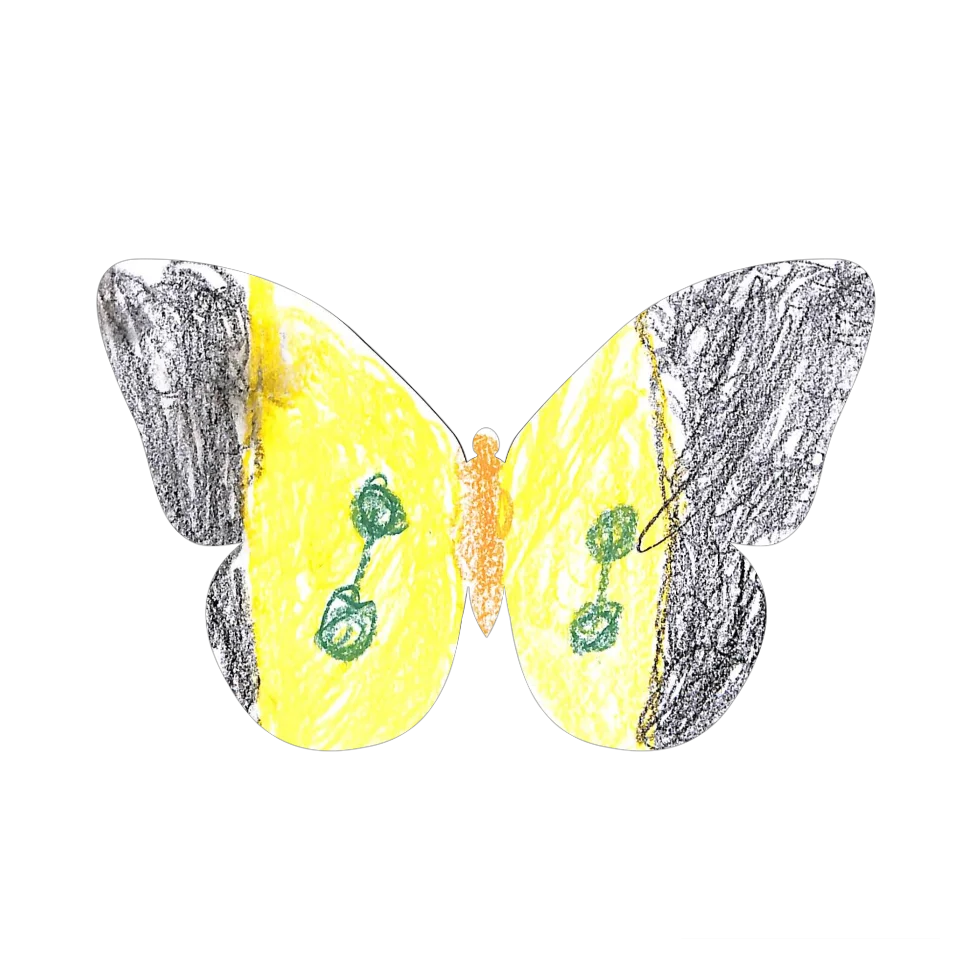 Original Butterfly Image