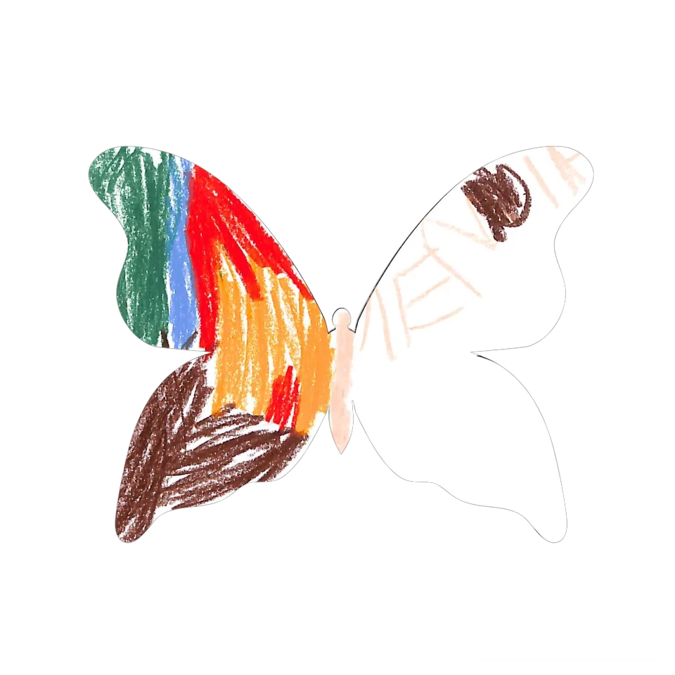 Original Butterfly Image