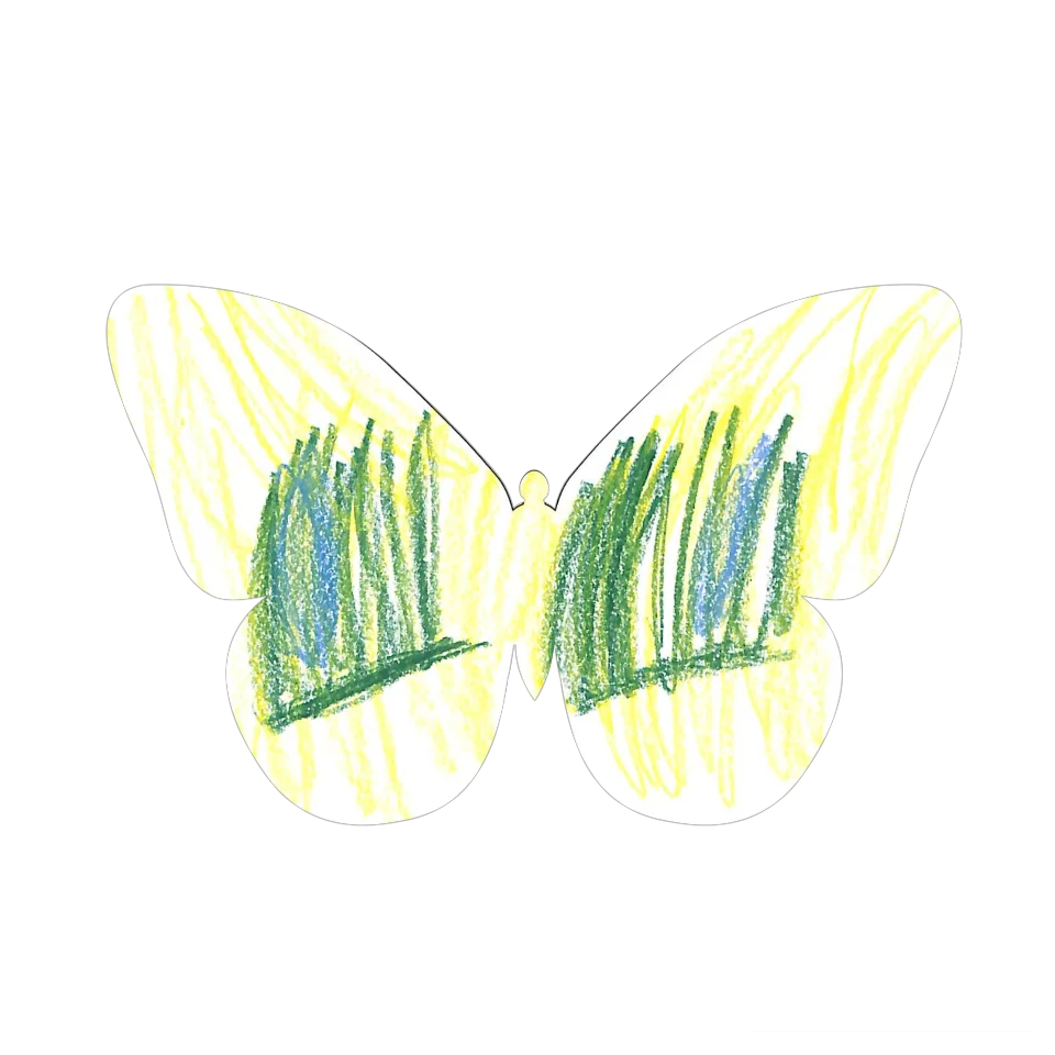 Original Butterfly Image