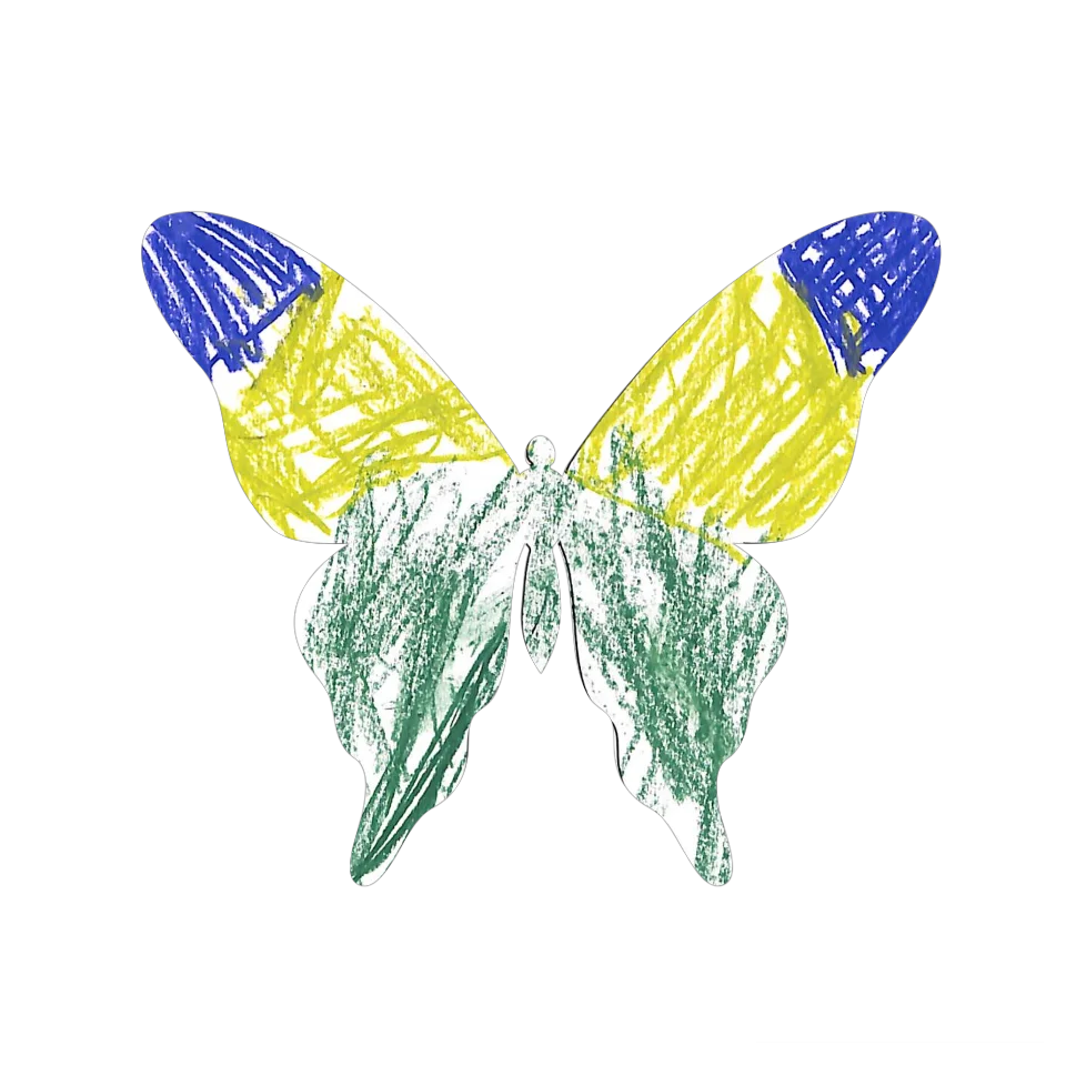 Original Butterfly Image