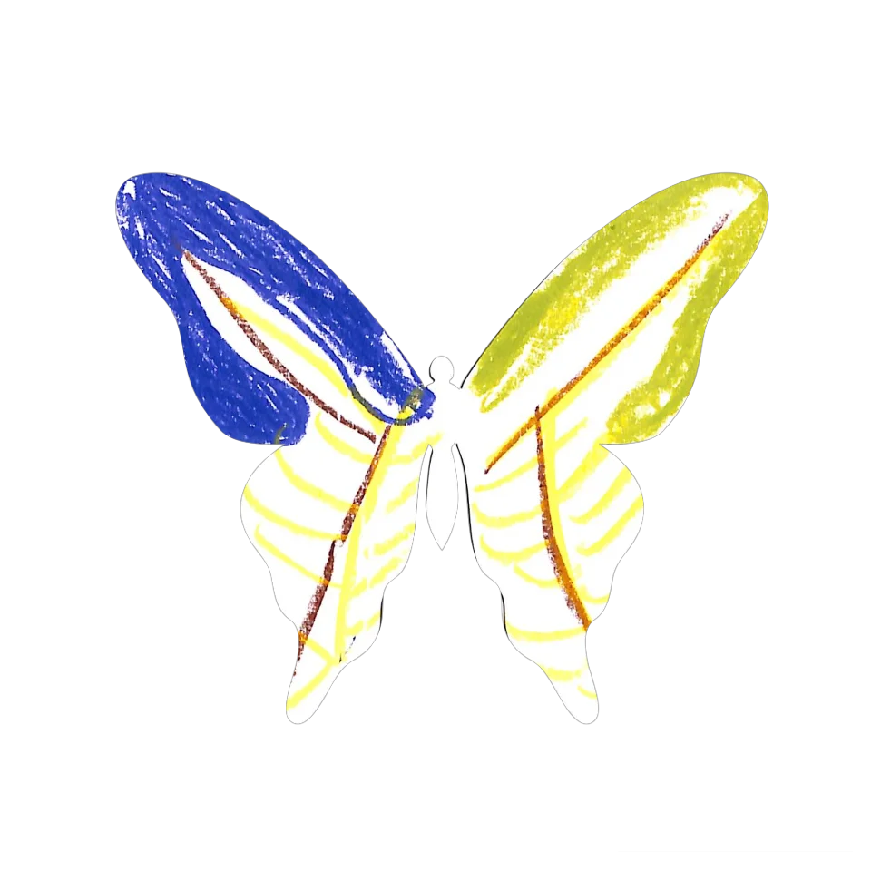Original Butterfly Image