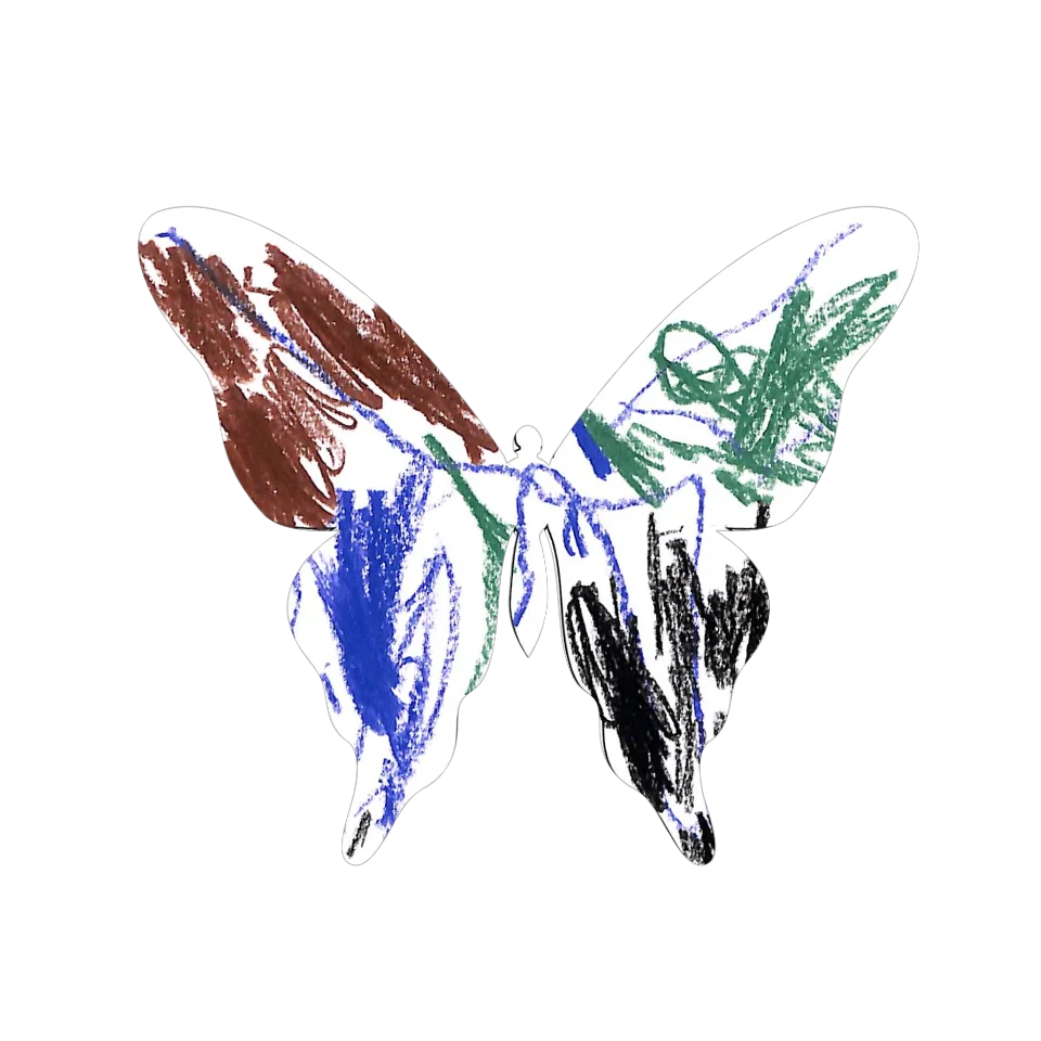 Original Butterfly Image