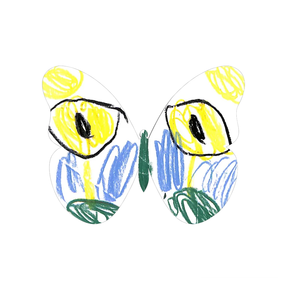 Original Butterfly Image