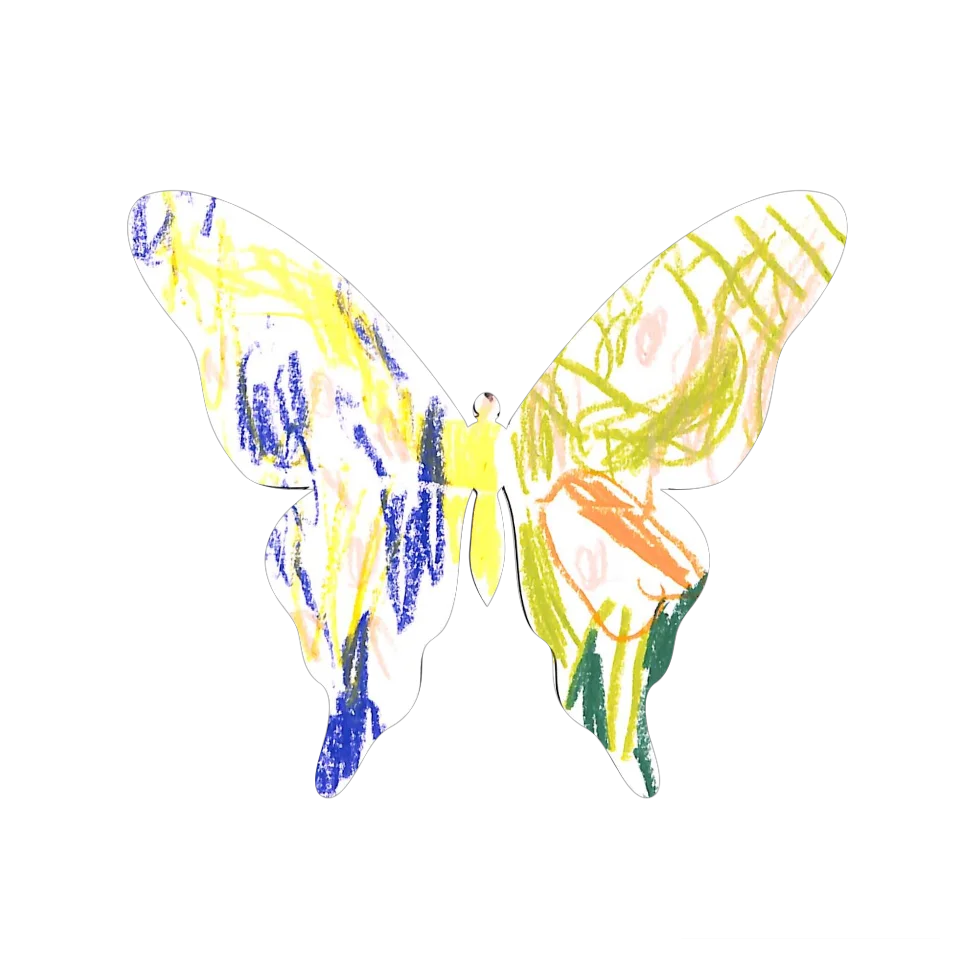 Original Butterfly Image