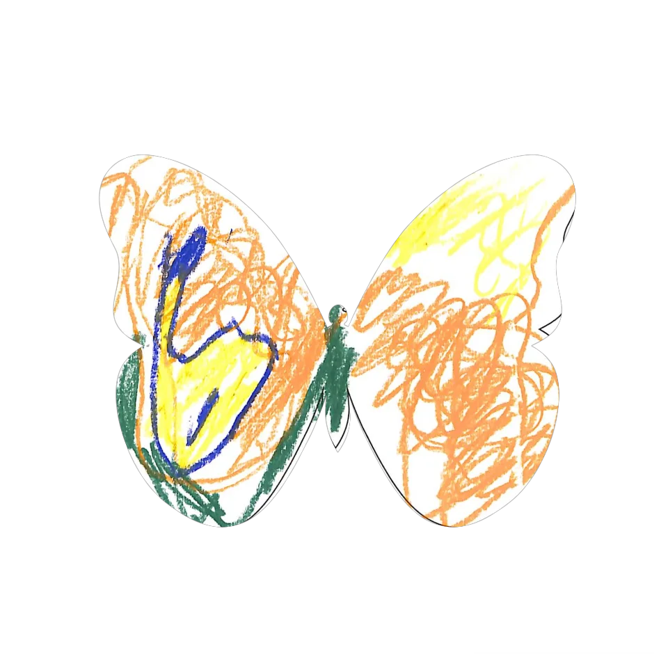 Original Butterfly Image